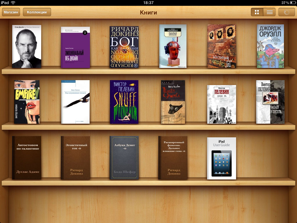 Для примера возьмем приложение iBooks. Я с уверенностью могу сказать